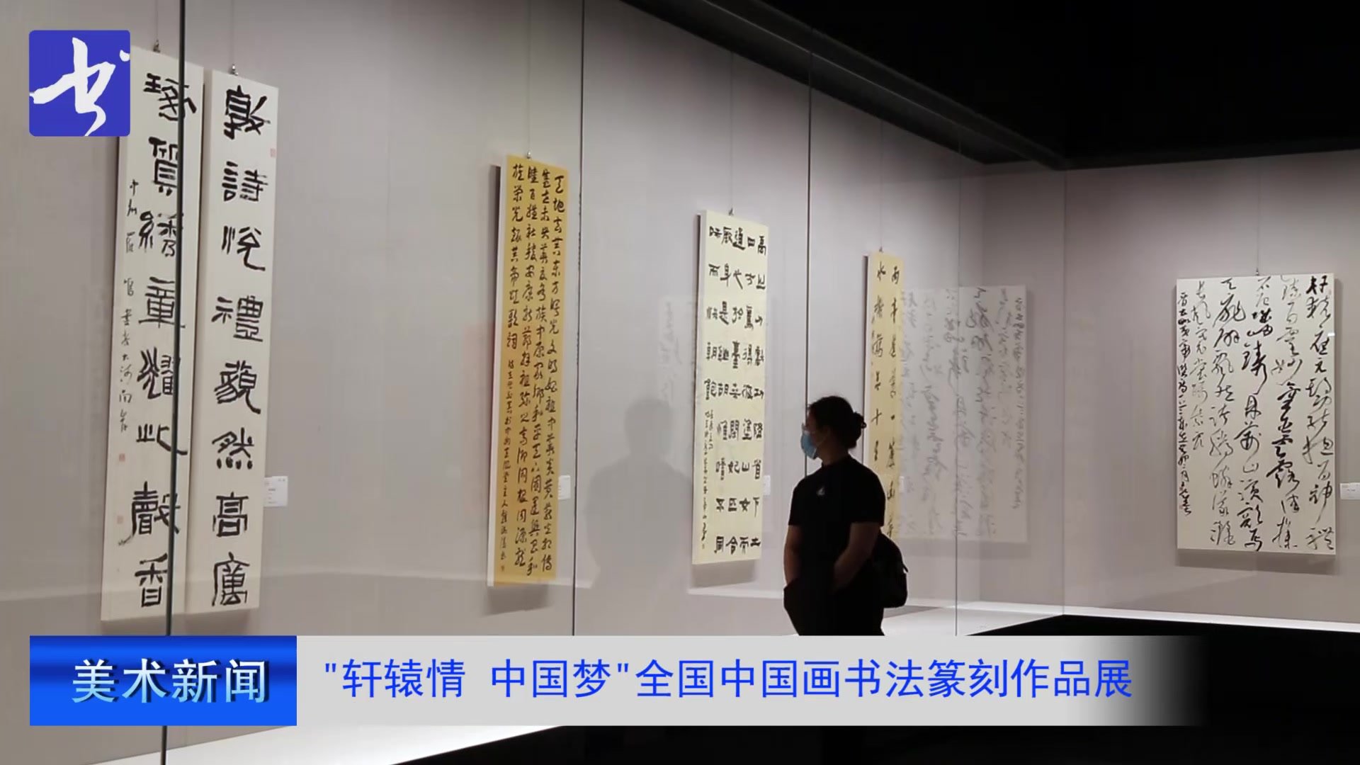 “轩辕情 中国梦”全国中国画书法篆刻作品展在郑州美术馆开幕