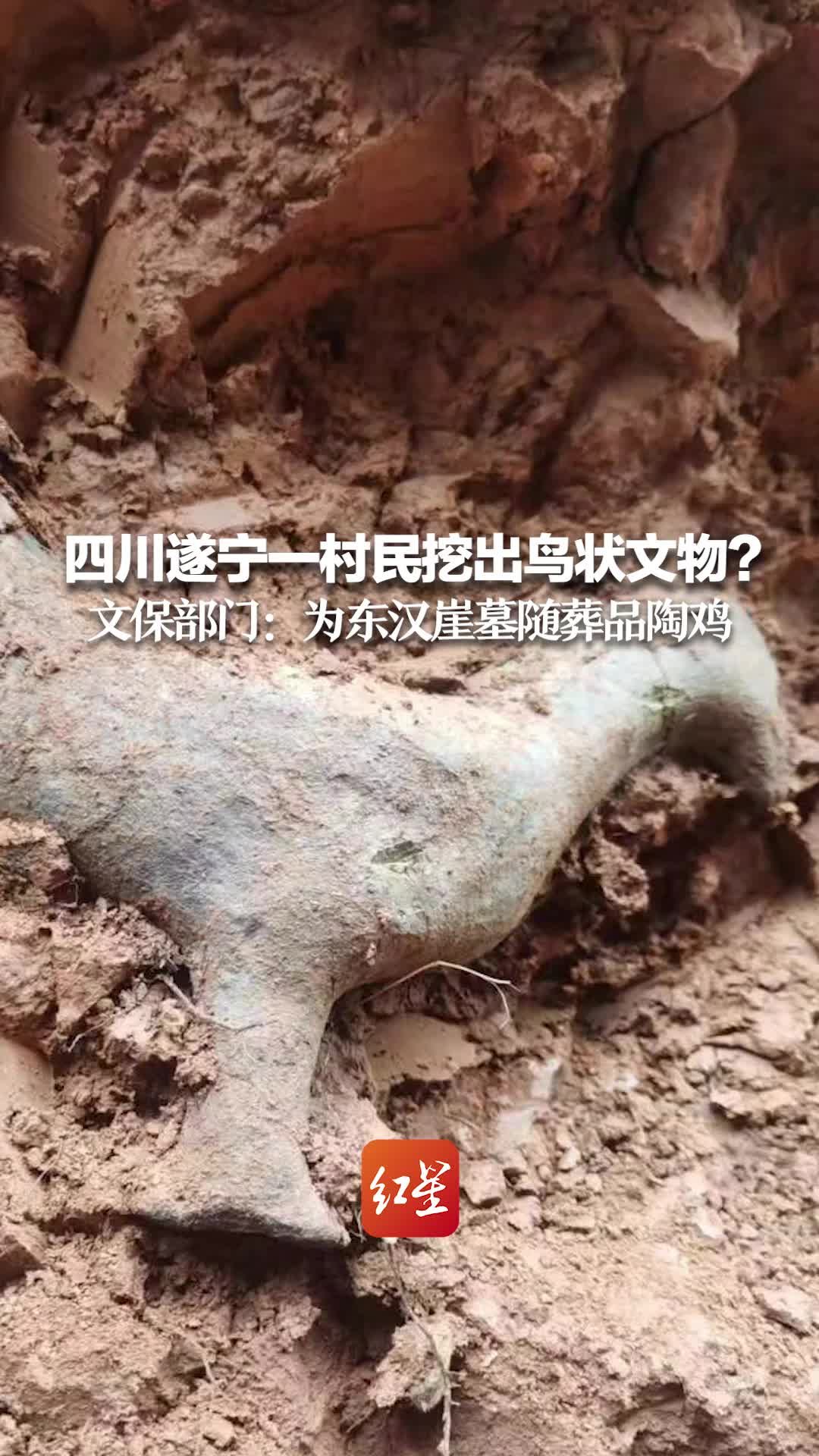 四川遂宁一村民挖出鸟状文物？文保部门：为东汉崖墓随葬品陶鸡