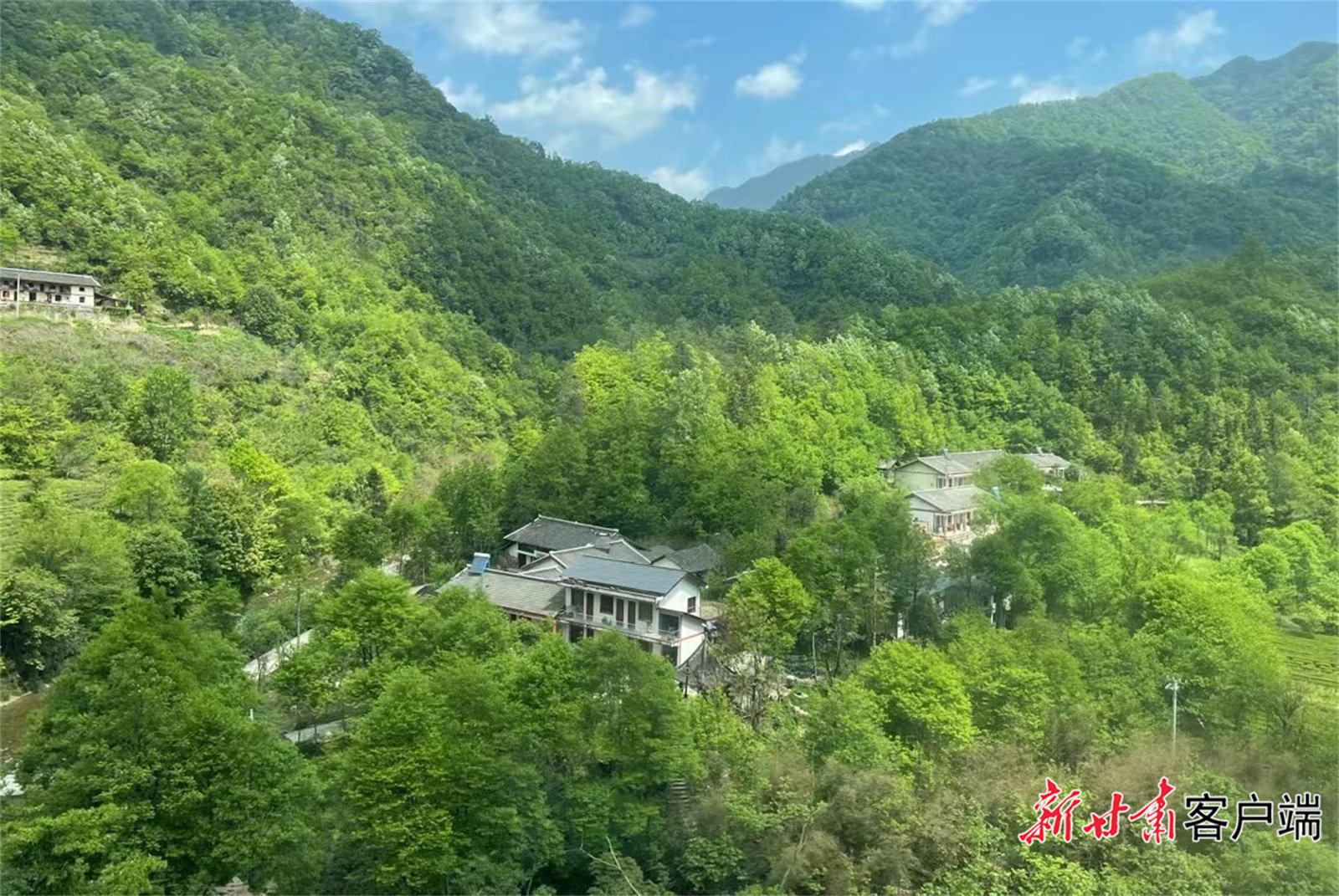 在康县，“绿树抱村”的景象随处可见。（除署名外，图片均由陇南市文化广电和旅游局提供）