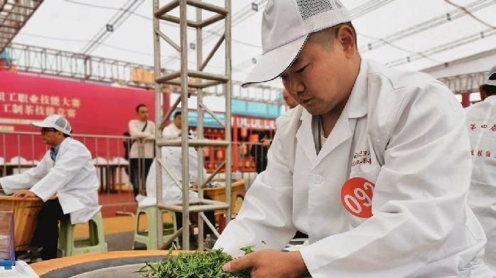 展现制茶技能真功夫 全省百余名制茶高手齐聚四川宜宾筠连县同台竞技_凤凰网