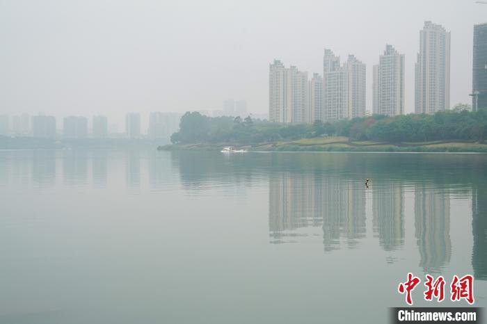 邕江被烟雨笼罩。　王以照 摄