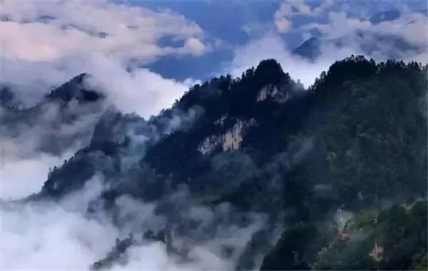 牛背梁国家森林公园