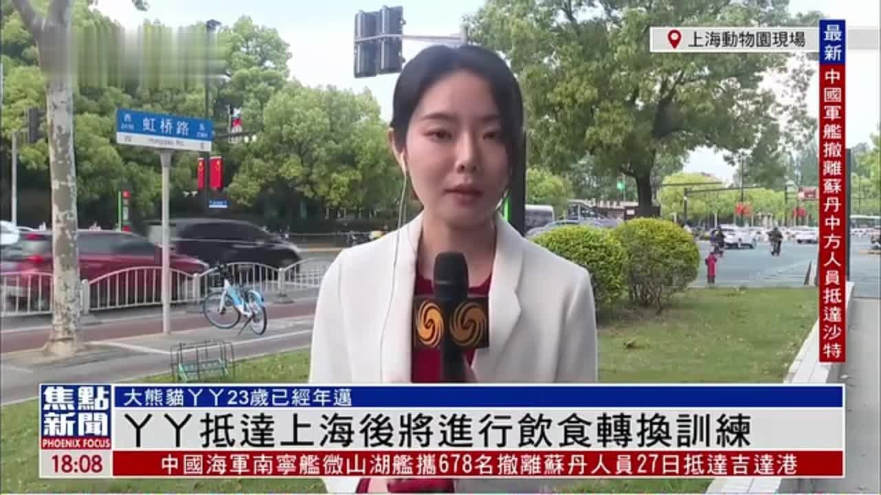 记者连线｜丫丫抵达上海后将进行饮食转换训练