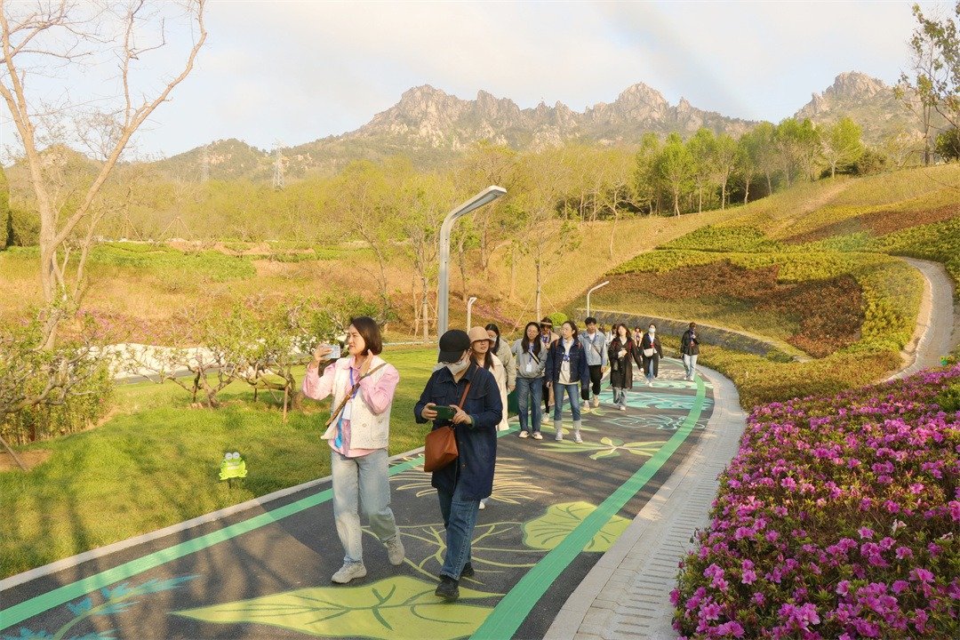 见证青岛丨绣好“城市绿肺”风景线 青岛公园城市建设再添彩