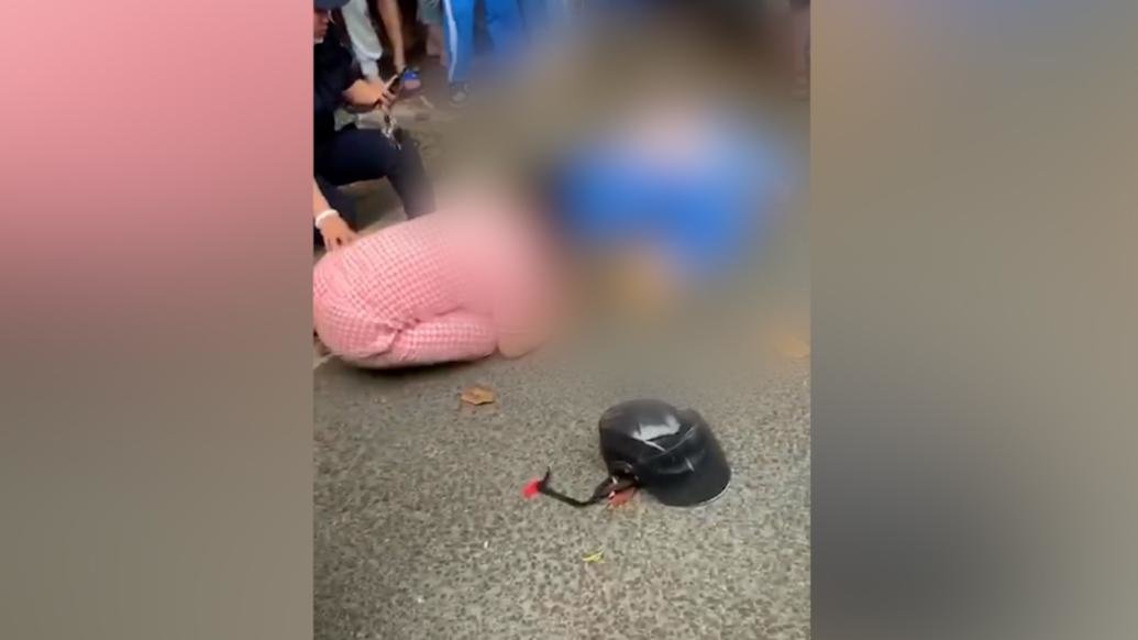 海南一名12岁小学生骑车被撞身亡，交警：涉事司机已归案