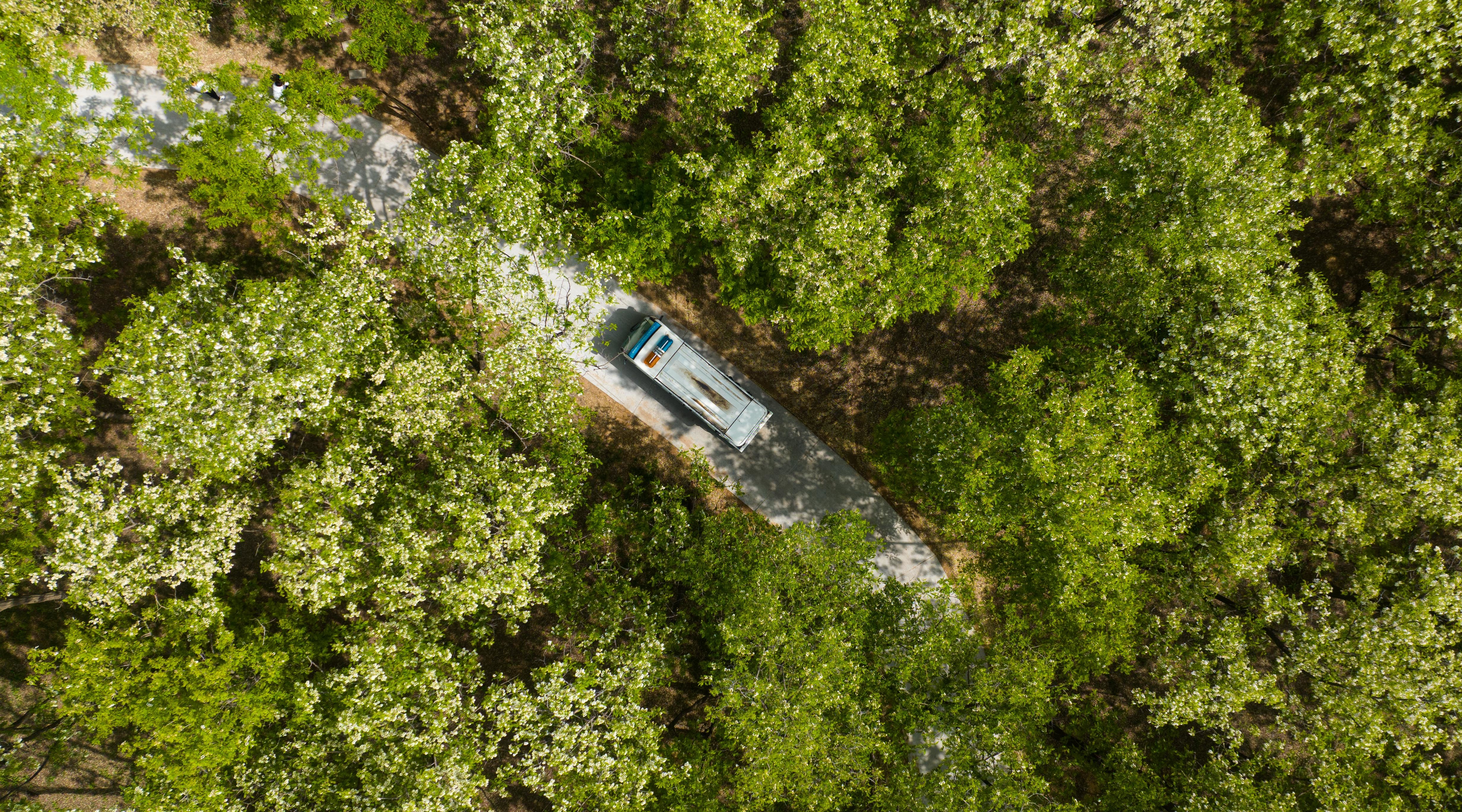 河北枣强（嘉会）首届槐花旅游节火热开幕