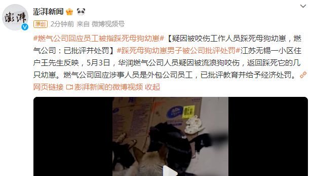 疑因被咬伤，工作人员踩死母狗幼崽，燃气公司：已批评并处罚_凤凰网