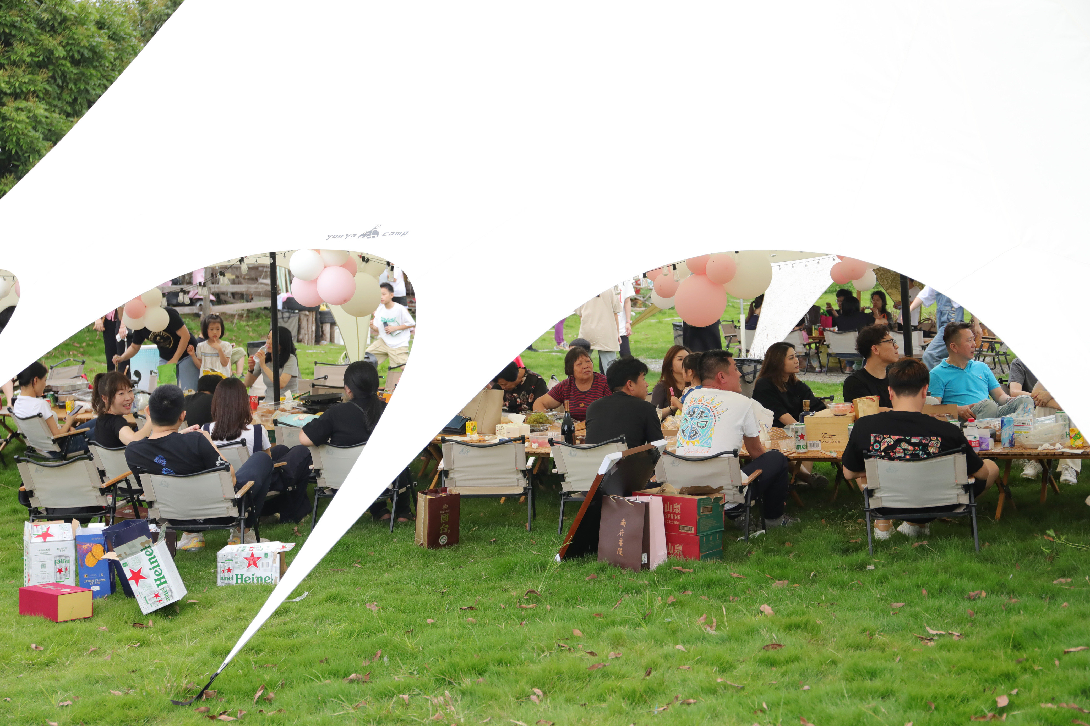 潮玩好去处|迎着“荷风” 在桥头的千亩花田中体验诗意露营