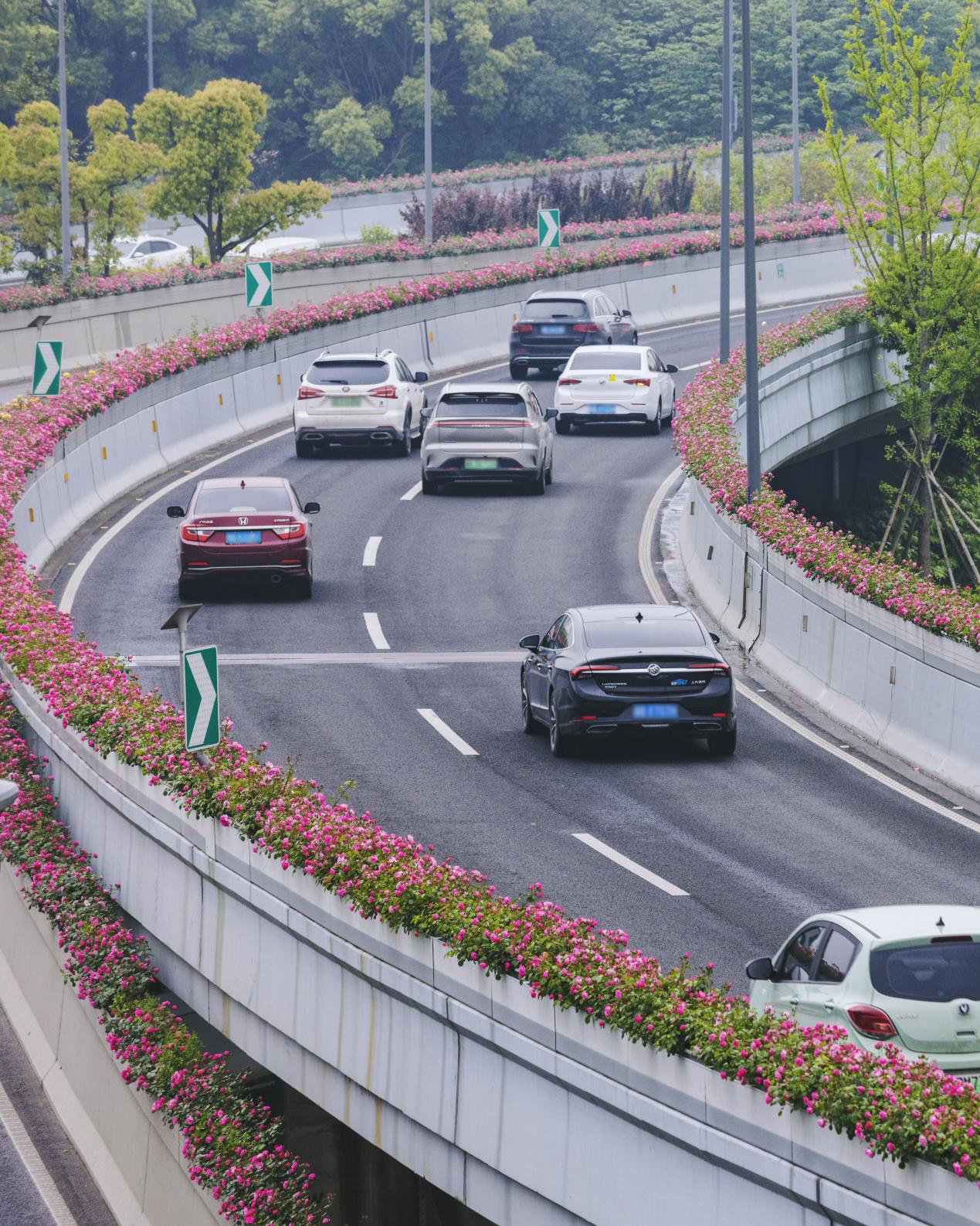 下足“绣花”功夫，中东欧“会客厅”靓了