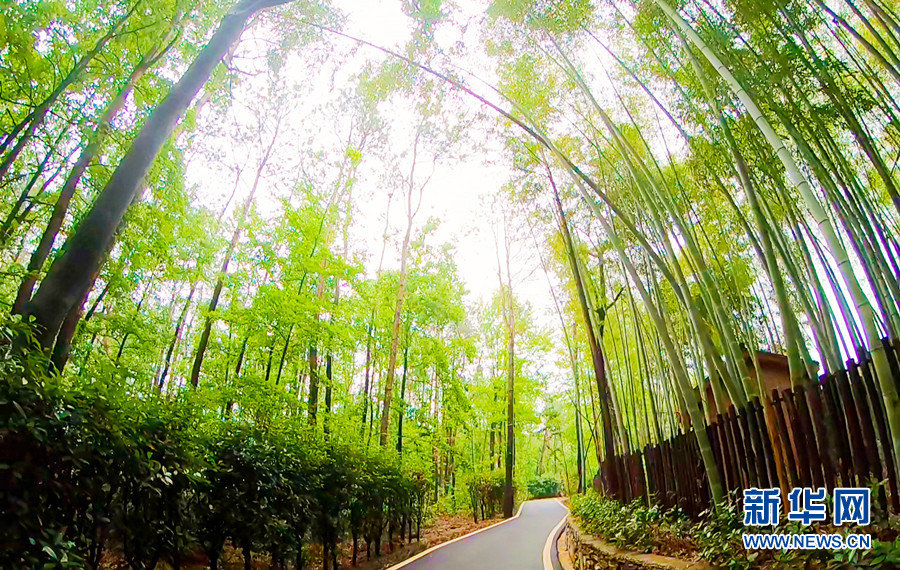 图为武汉市江夏区湖泗街海洋村。新华网发 许文杰 摄