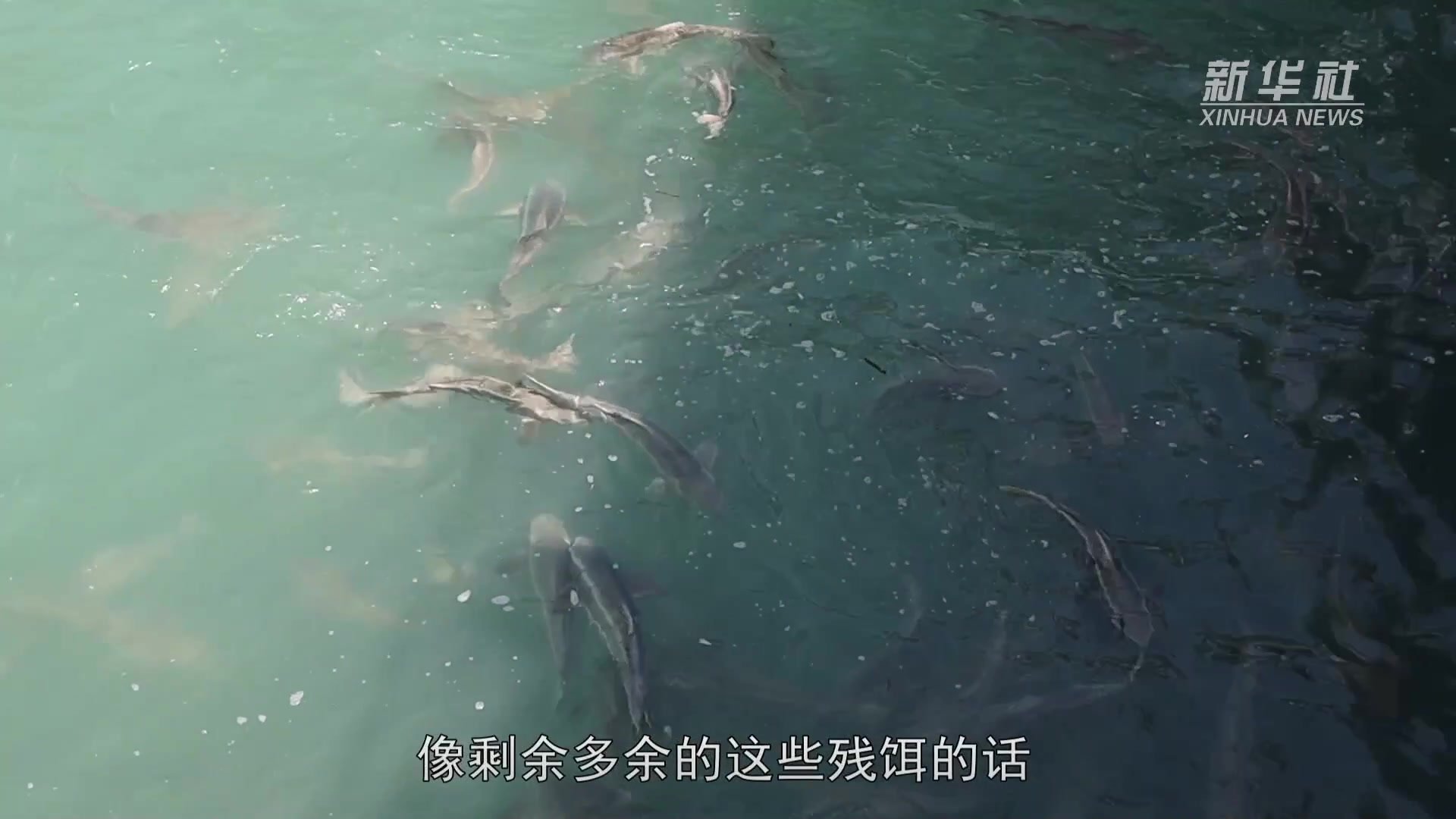 海南乐东：耕牧“蓝色粮仓”