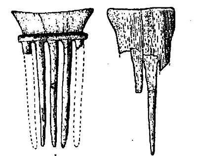 刘林遗址出土的目前黄河下游地区最早的梳子
