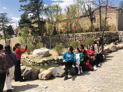 故地重游(尚铁军 摄)