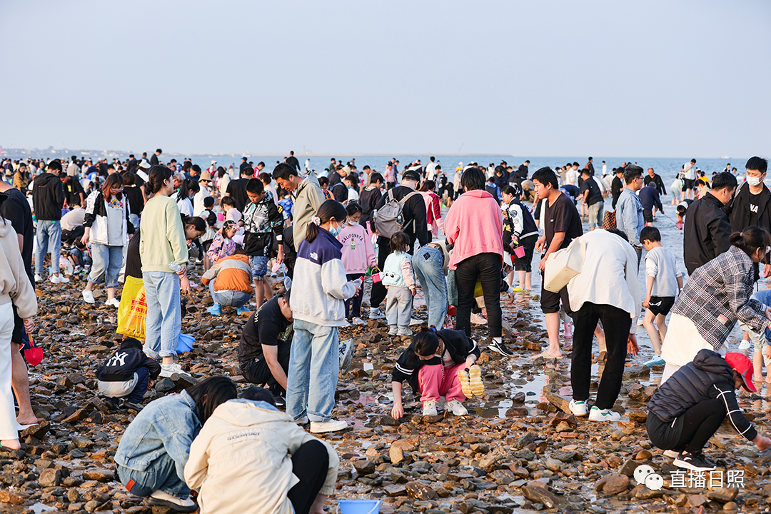 烟台第一海水浴场赶海图片