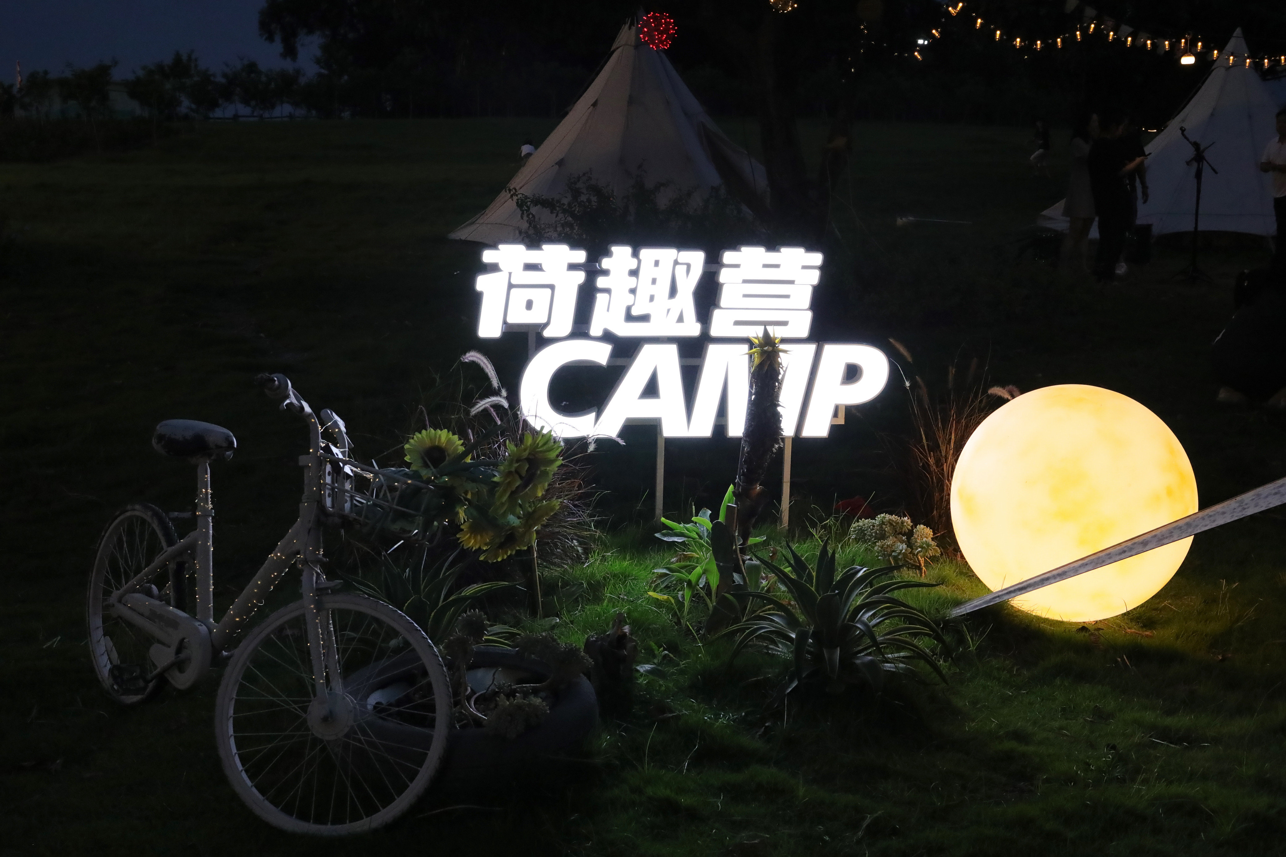 潮玩好去处|迎着“荷风” 在桥头的千亩花田中体验诗意露营