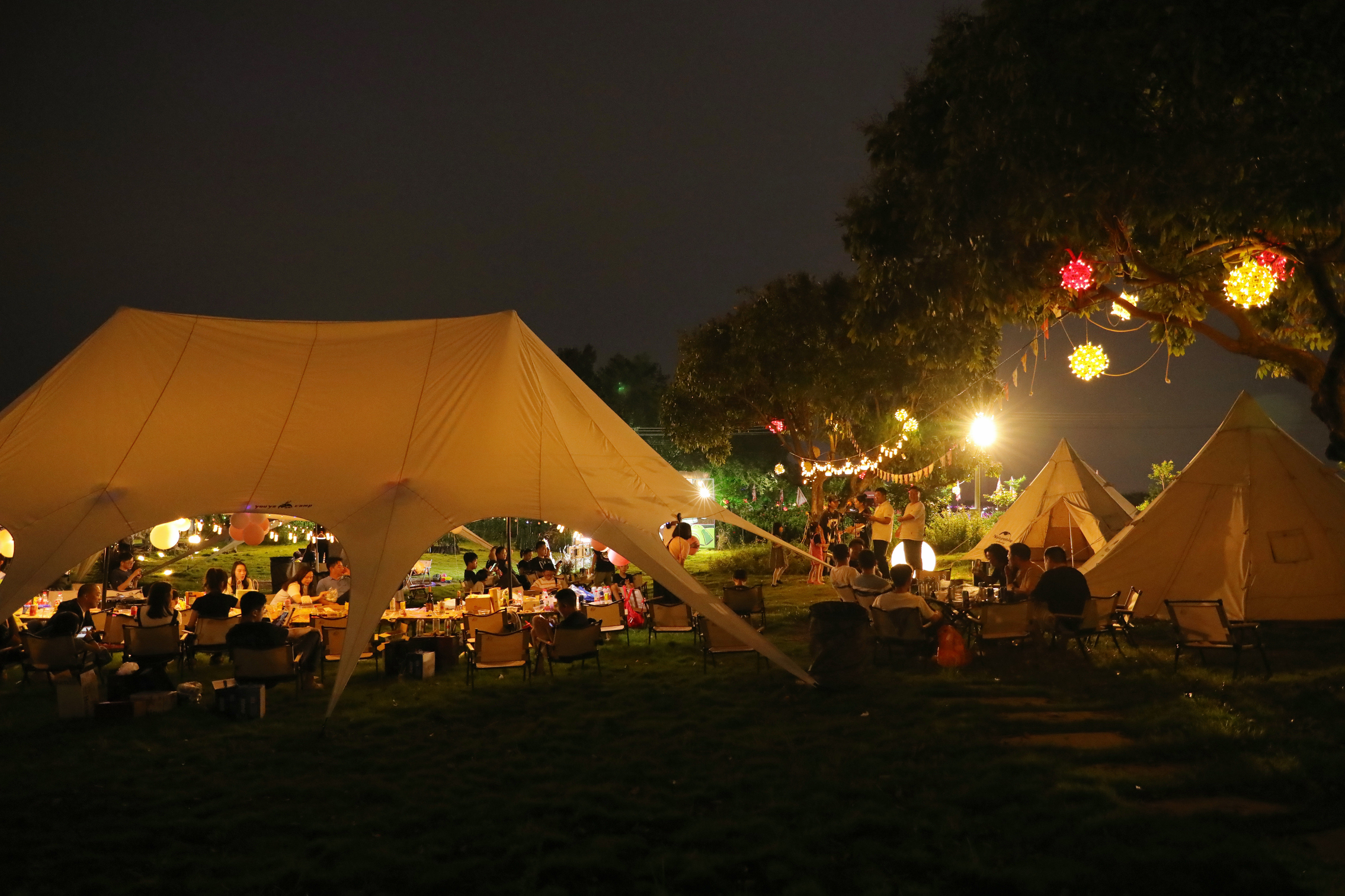 潮玩好去处|迎着“荷风” 在桥头的千亩花田中体验诗意露营