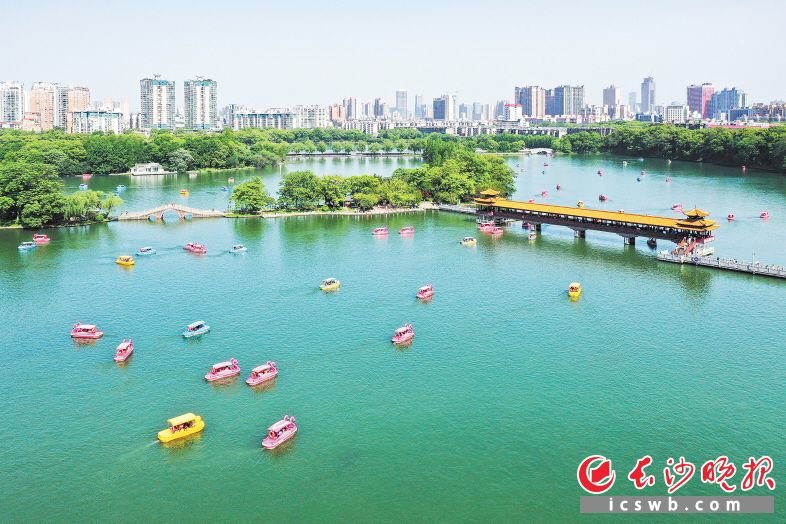 烈士公园里人头攒动,满眼绿意的游道上热闹非凡。年嘉湖上,游客泛舟湖面。长沙晚报全媒体记者 邹麟 摄