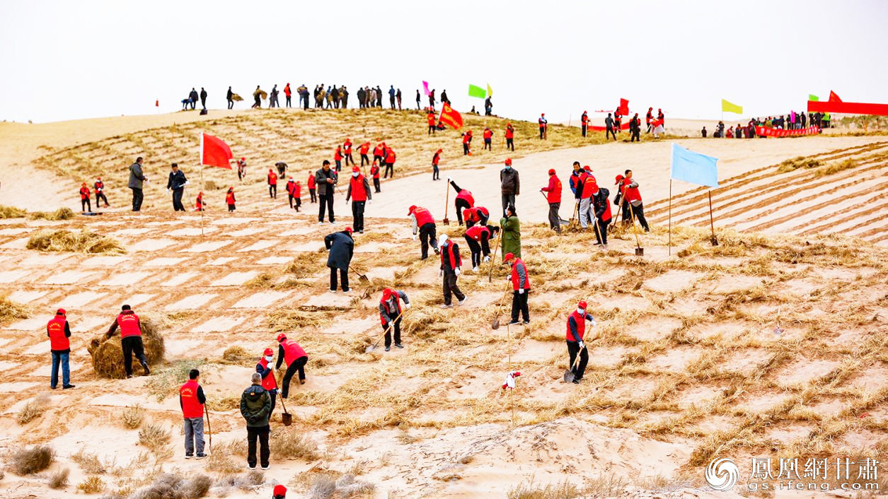 民勤县开展全民参与压沙植树活动 李军 摄