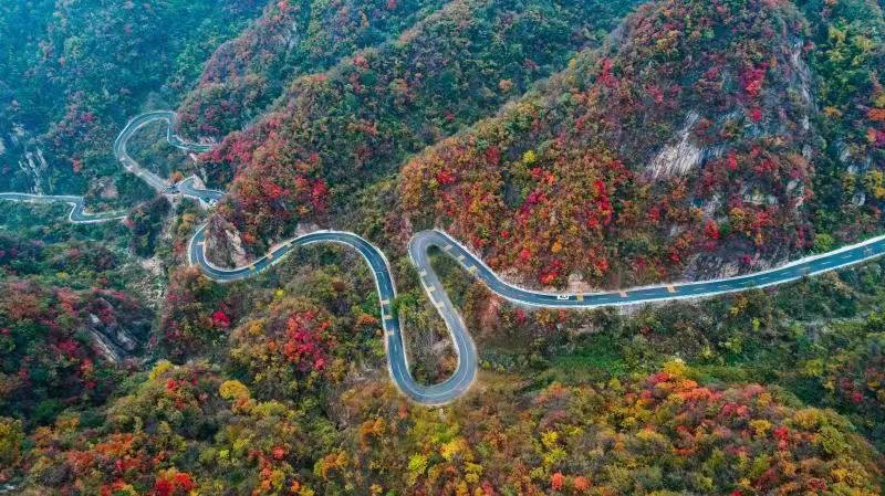 网红打卡石林路