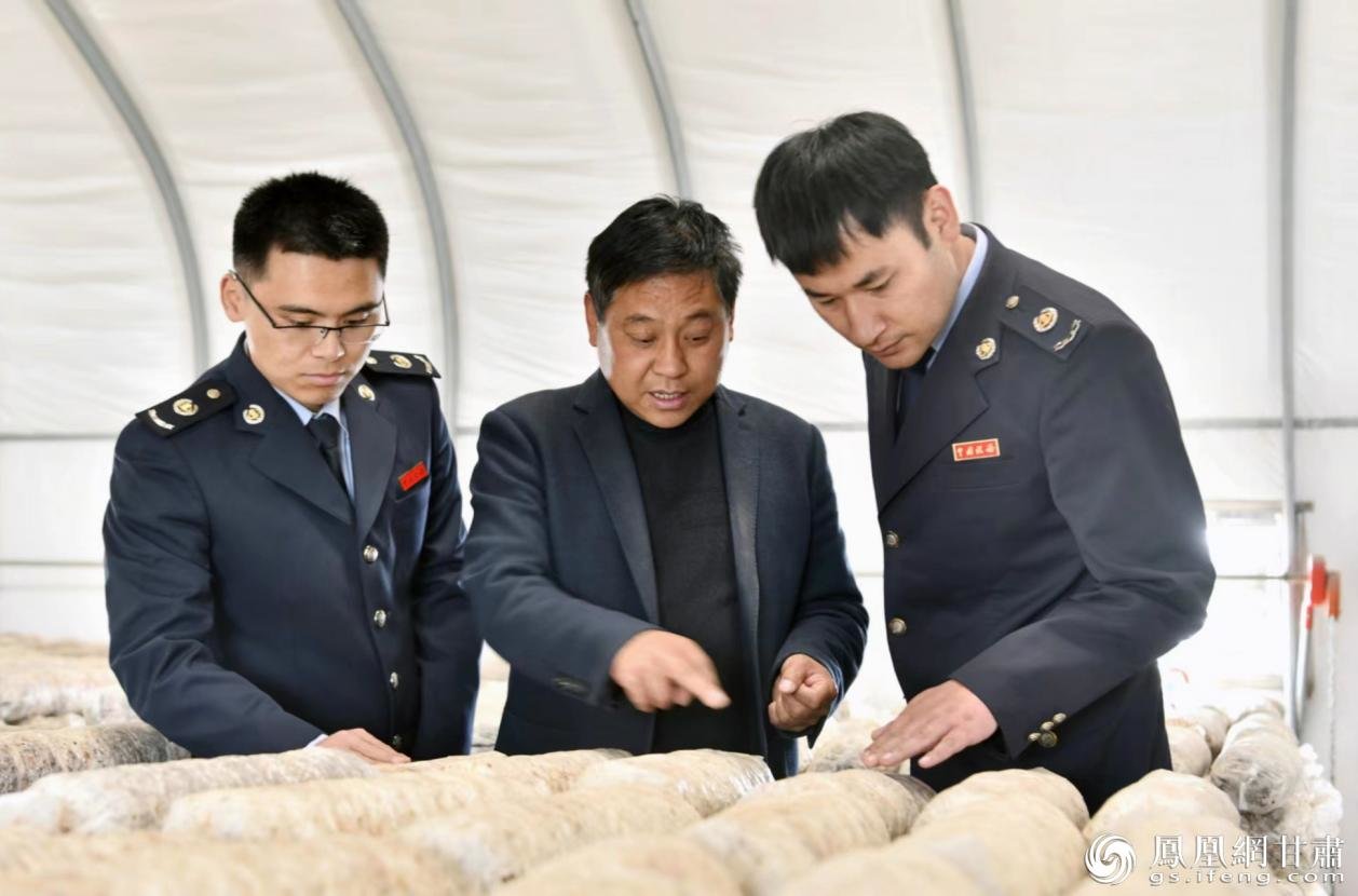 临夏州康乐县税务干部了解甘肃千枫祥菌业科技有限公司生产经营情况 马斌 摄