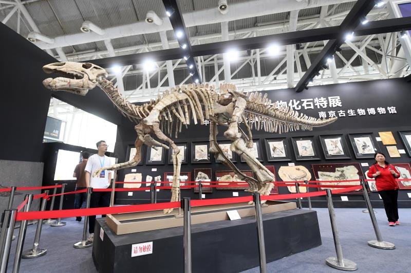 2023中国南京（国际）矿博会开幕 数十万件矿物宝石化石集体亮相