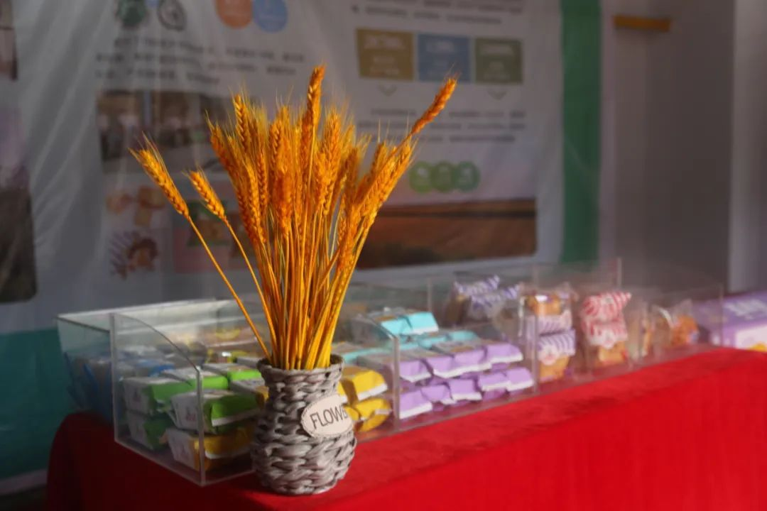 河北：宁晋美食亮相邢襄古镇