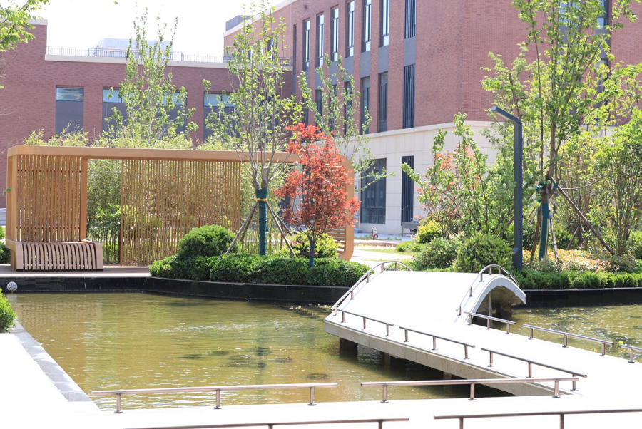 郑州市第五十六高级中学:三尺讲台天地宽,一寸丹心育桃李