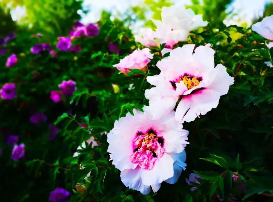 5·19中国旅游日|武威,欢迎您来,欢迎您再来!