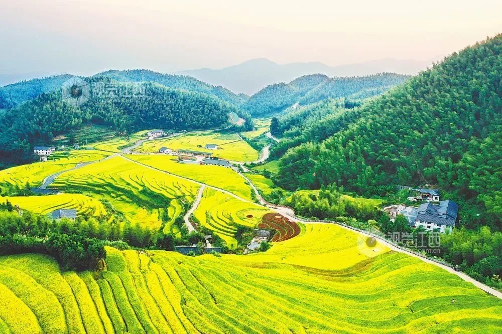 上堡梯田 王蕴蓉 摄