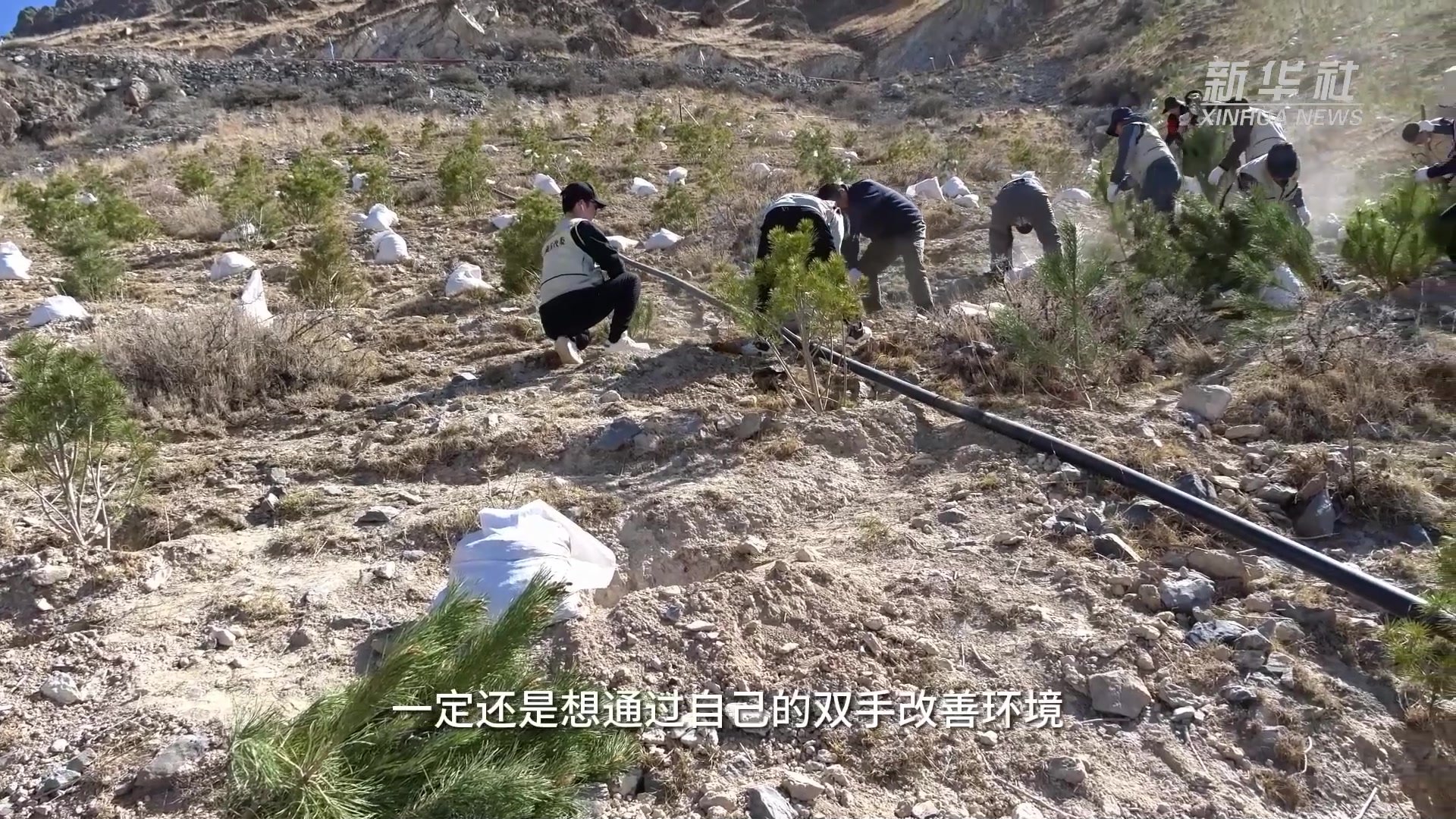 西藏拉萨：植树造林守护门前的绿水青山