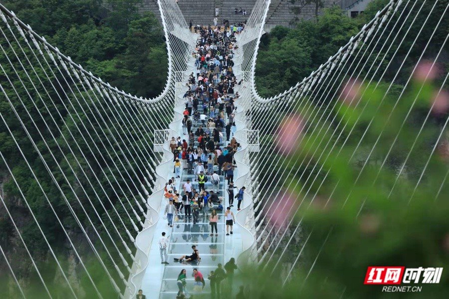 游客在张家界大峡谷风景区体验高空玻璃桥。吴勇兵/摄