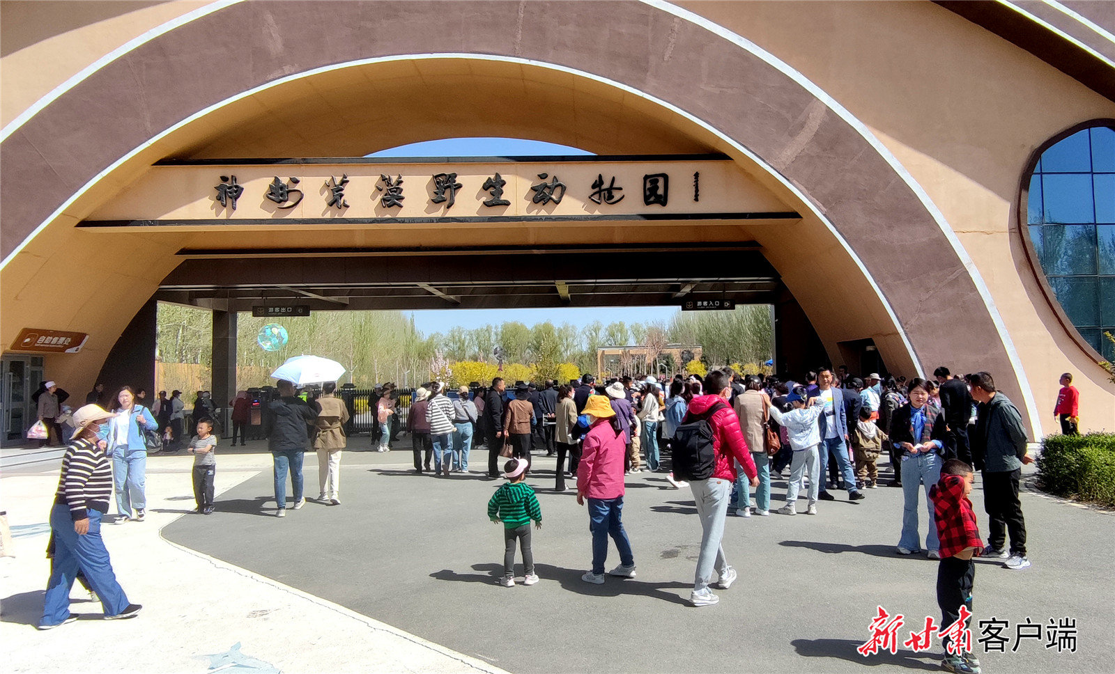 市民和游客走进神州荒漠野生动物园游玩