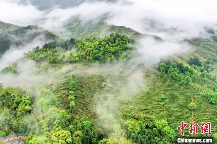 赣州市大余县黄龙镇大龙村 吴寿生 摄