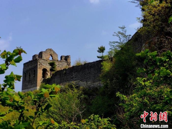 河北“长城楼长”张鹤珊:长城是我生命的一部分