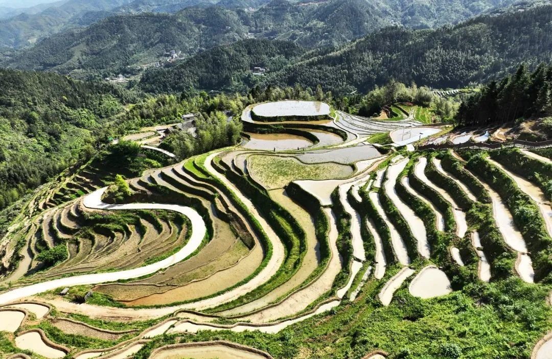 遂川县：梯田风光 景色优美（图）