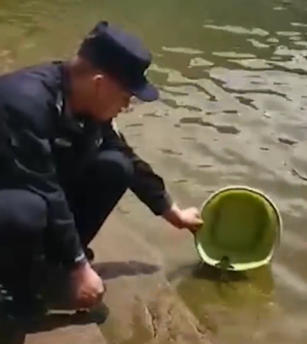 安徽太湖：警民联手及时救助野生中华鲟