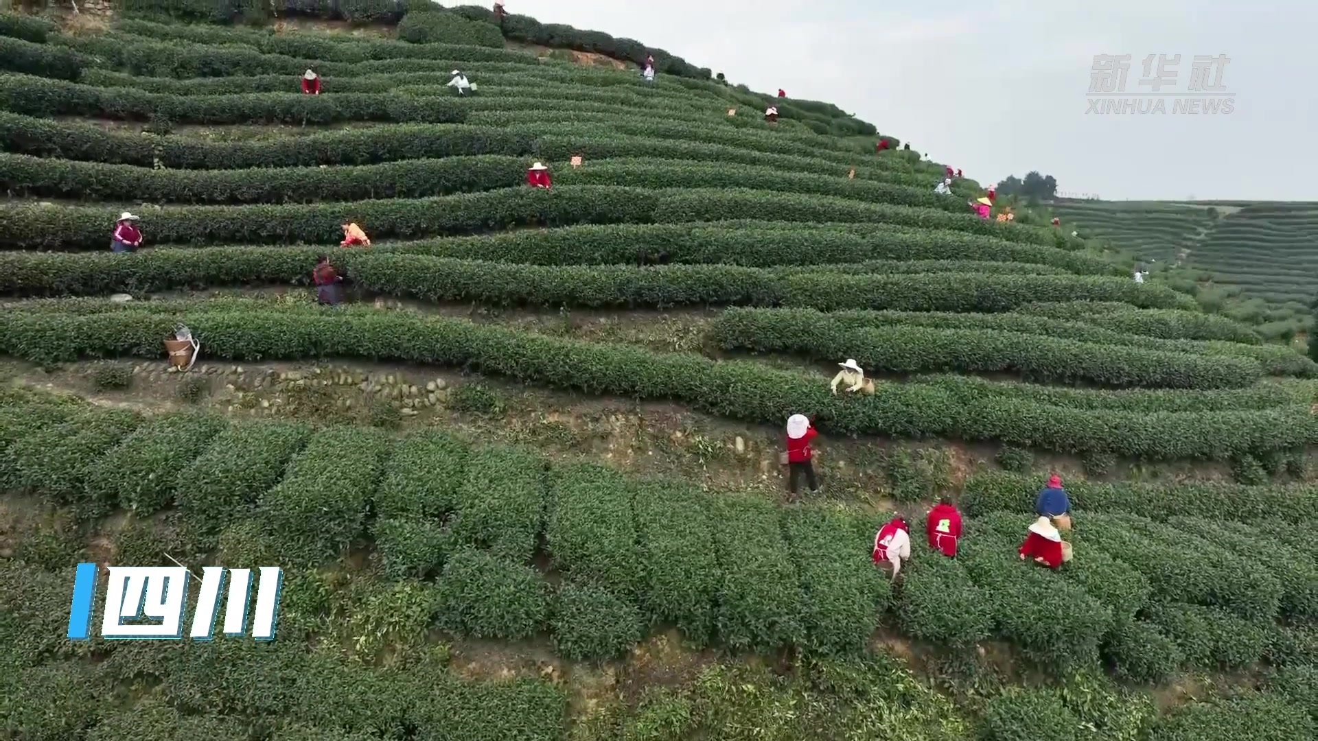 乘势而上，不断汇聚高质量发展的新动力——4月全国各地经济社会发展扫描