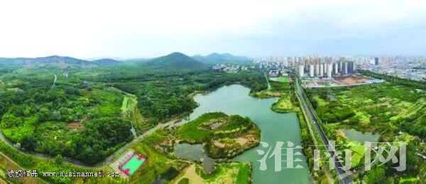 5月3日，雨后的大通湿地绿意盎然。