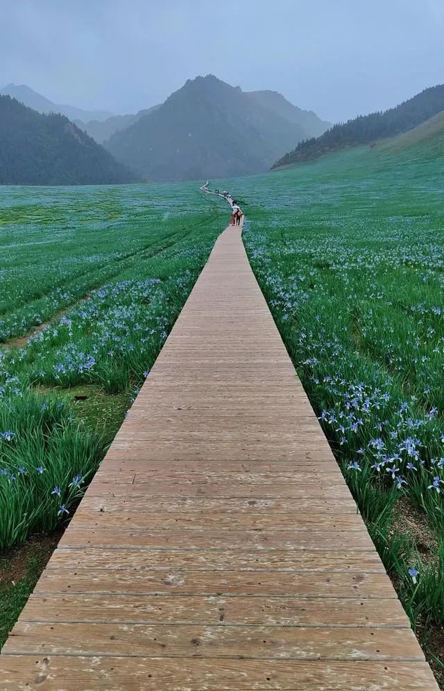 5·19中国旅游日|武威,欢迎您来,欢迎您再来!