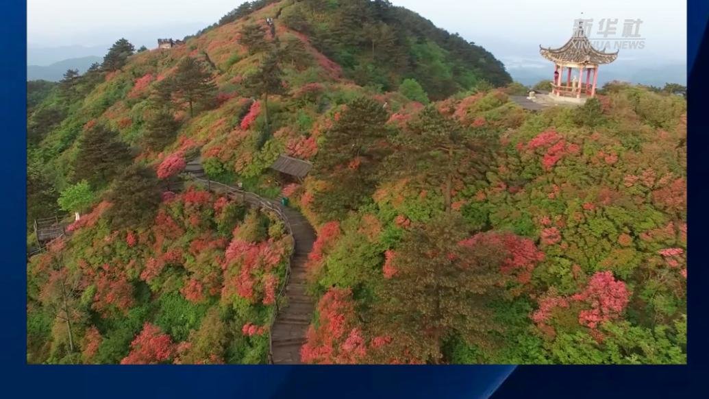 湖北黄冈：“五一”小长假保供新能源车绿色畅行