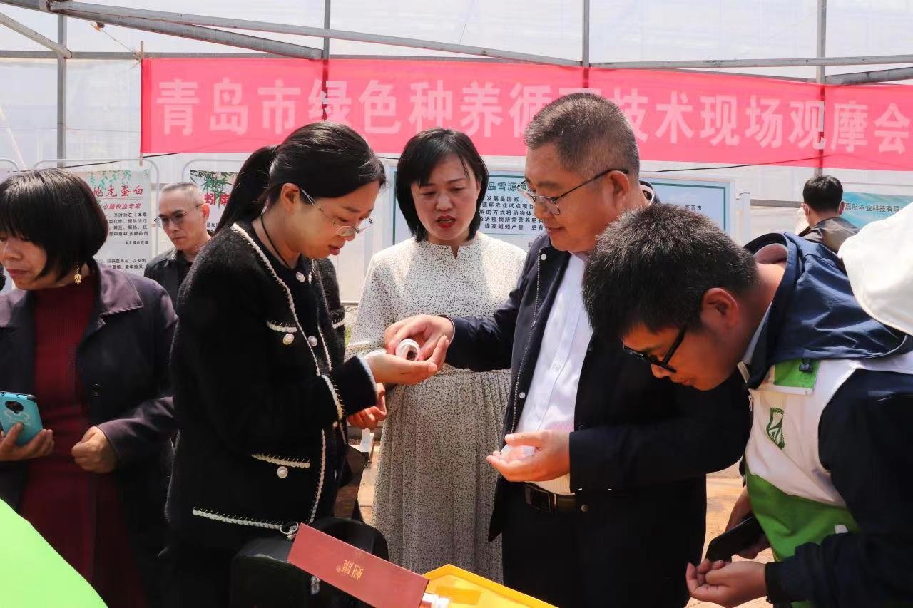 种养循环引领青岛农业绿色发展全市绿色种养循环农业技术培训暨现场观摩会召开