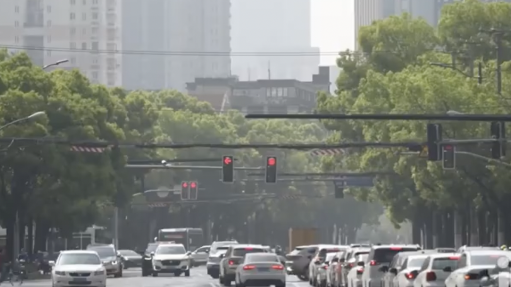 上海静安武宁南路绿化景观将陆续与市民见面