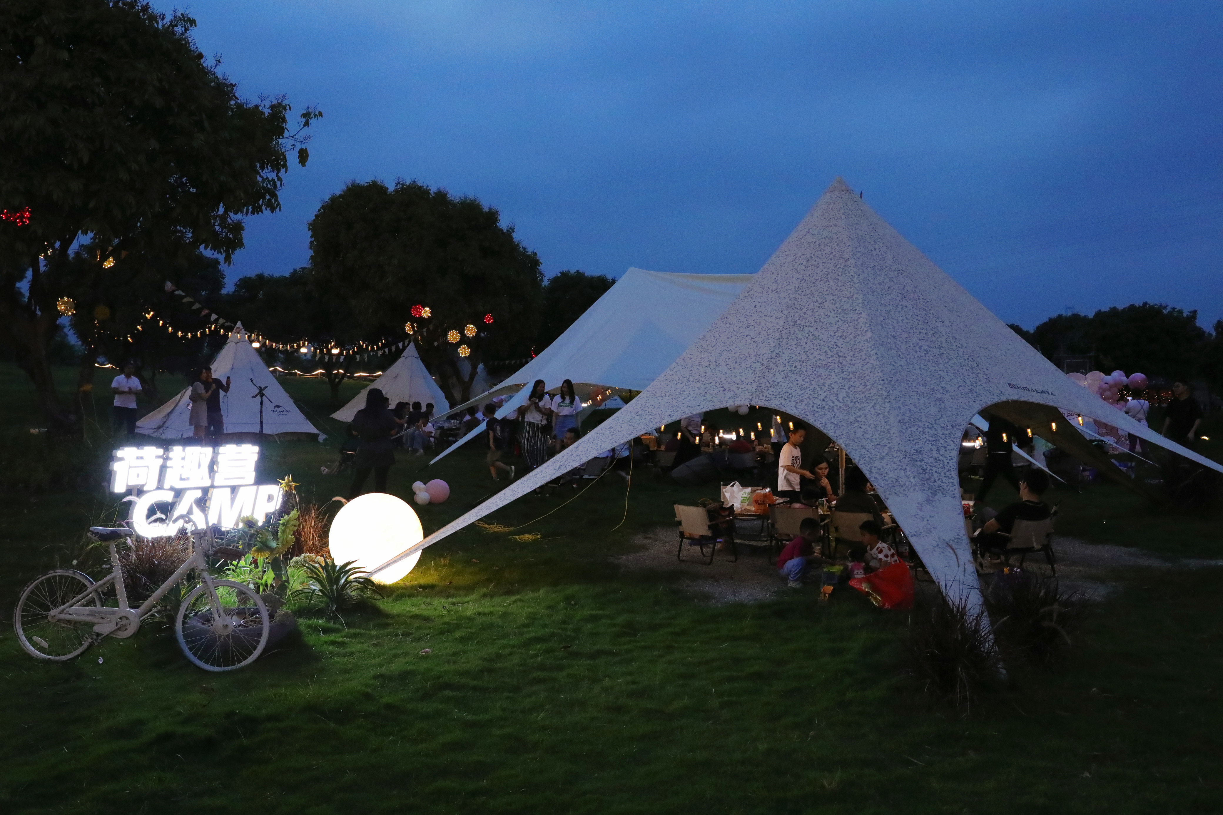 潮玩好去处|迎着“荷风” 在桥头的千亩花田中体验诗意露营