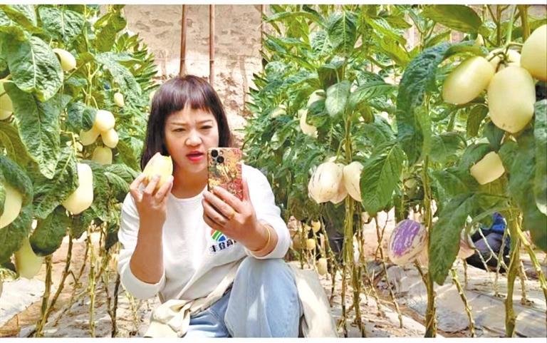 奋斗者正青春 甘肃的他们有啥不一YOUNG