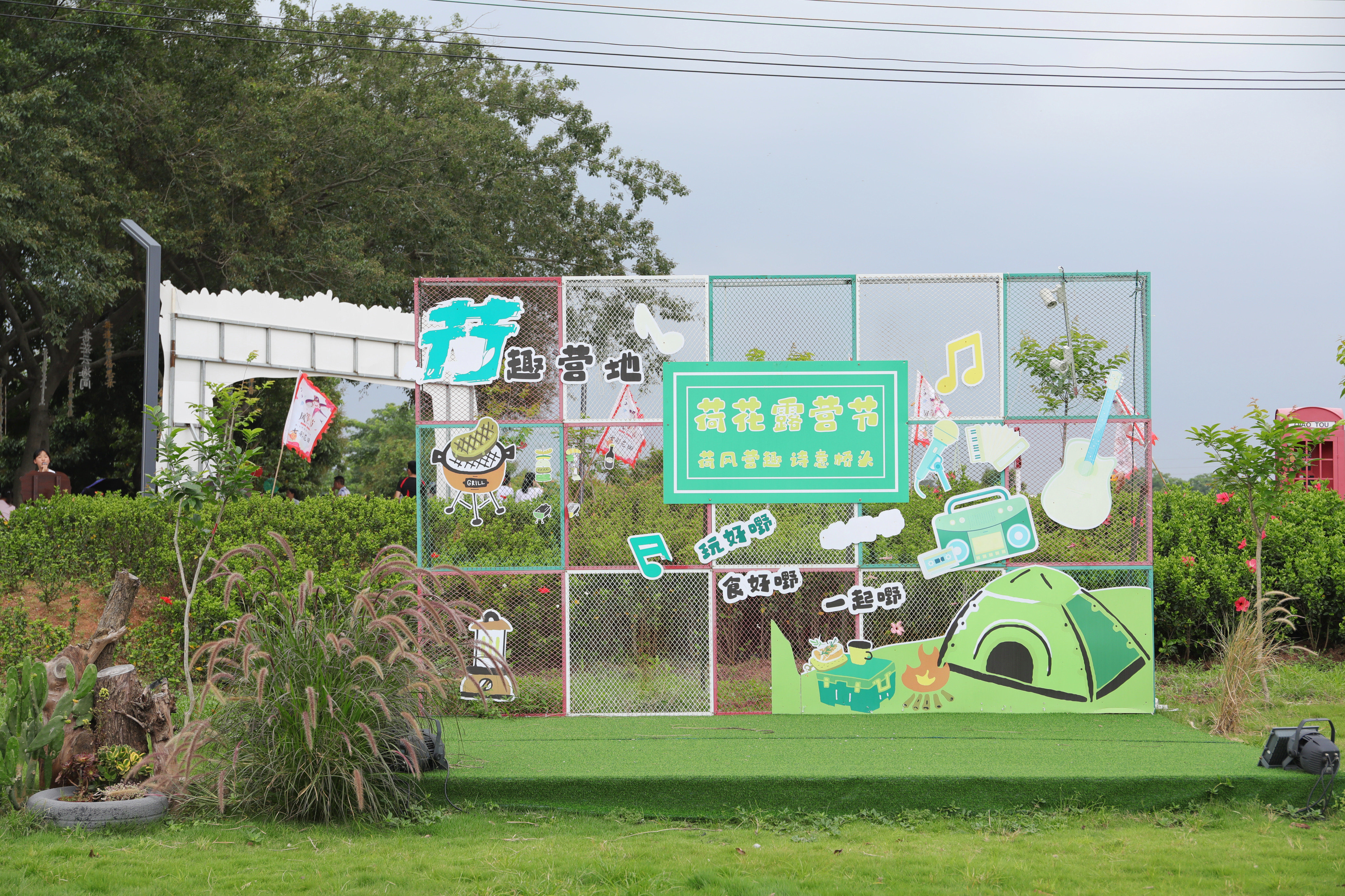 潮玩好去处|迎着“荷风” 在桥头的千亩花田中体验诗意露营