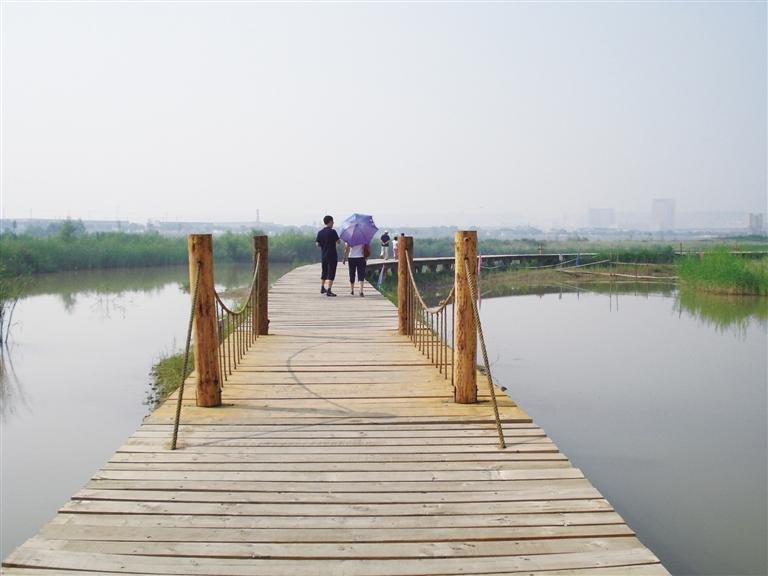 湿地公园水上栈道