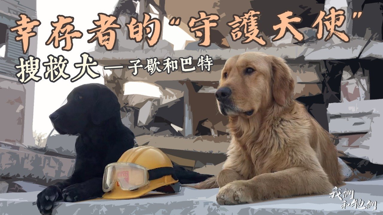幸存者的“守护天使”·搜救犬：子歇与巴特