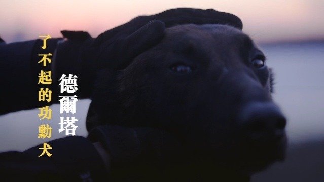 了不起的功勋犬·德尔塔