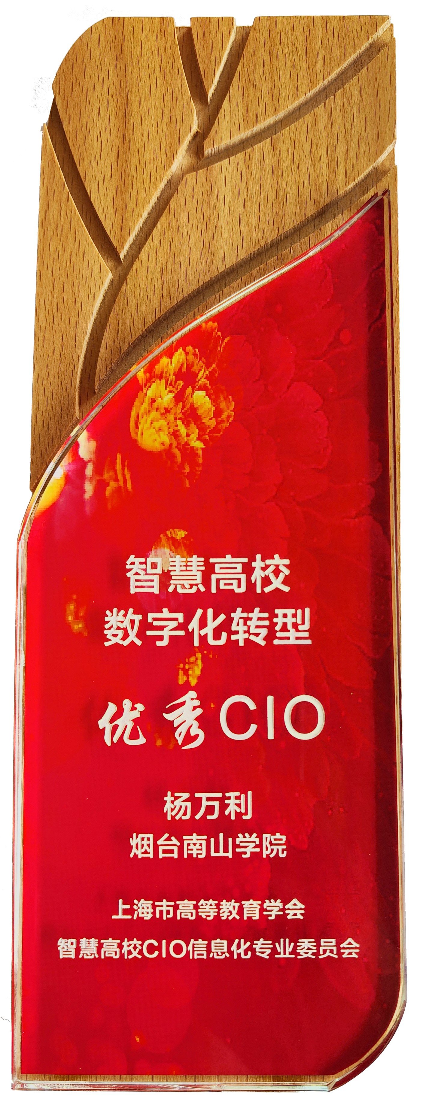 烟台南山学院获评“智慧高校创新实践奖”（烟台南山学院校企合作怎么样）