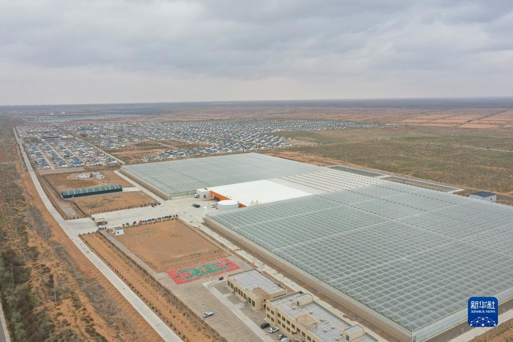 这是2023年5月7日拍摄的智能番茄种植大棚和移民新村（无人机照片） 新华社记者 马希平 摄
